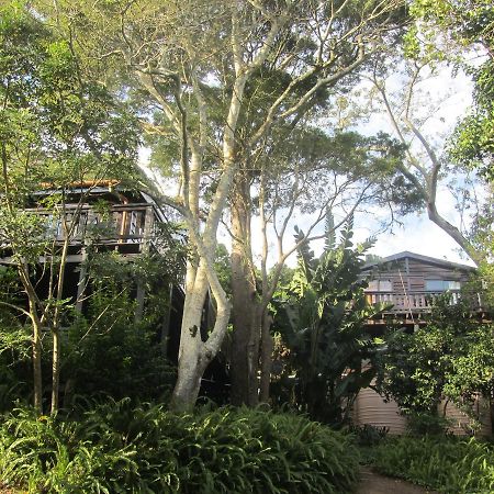 Treehouse Cottage The Crags Ngoại thất bức ảnh