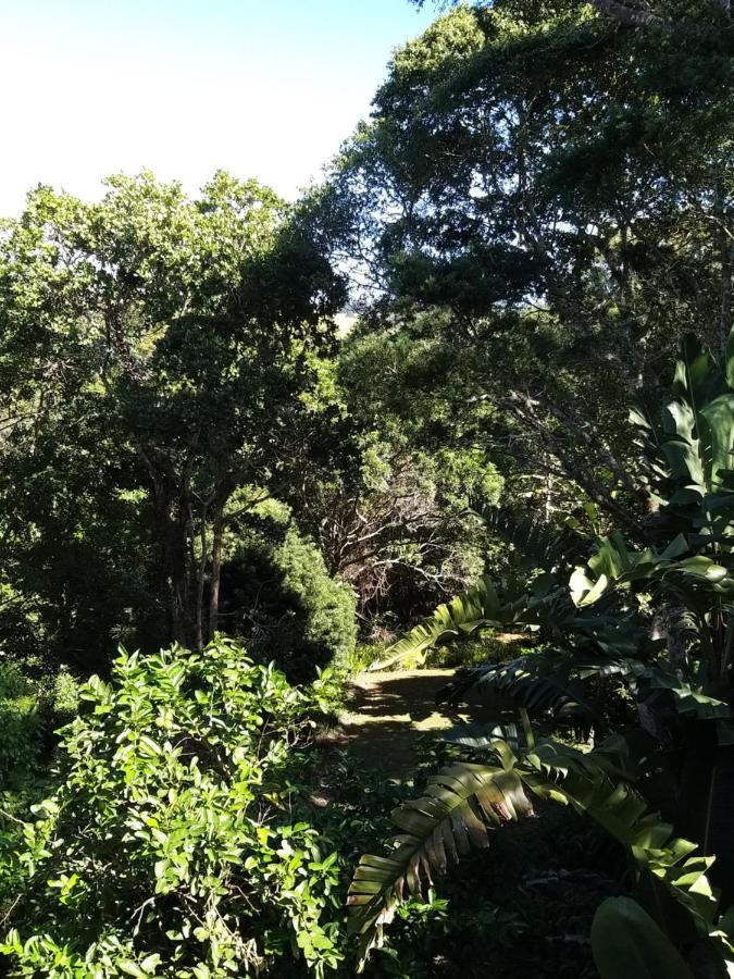 Treehouse Cottage The Crags Ngoại thất bức ảnh