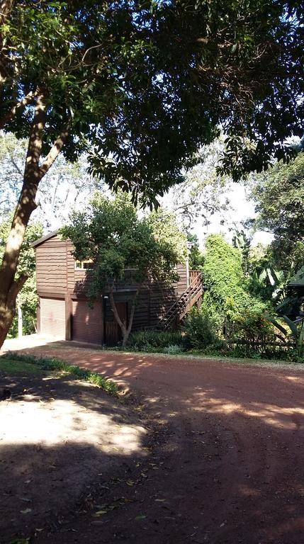 Treehouse Cottage The Crags Ngoại thất bức ảnh