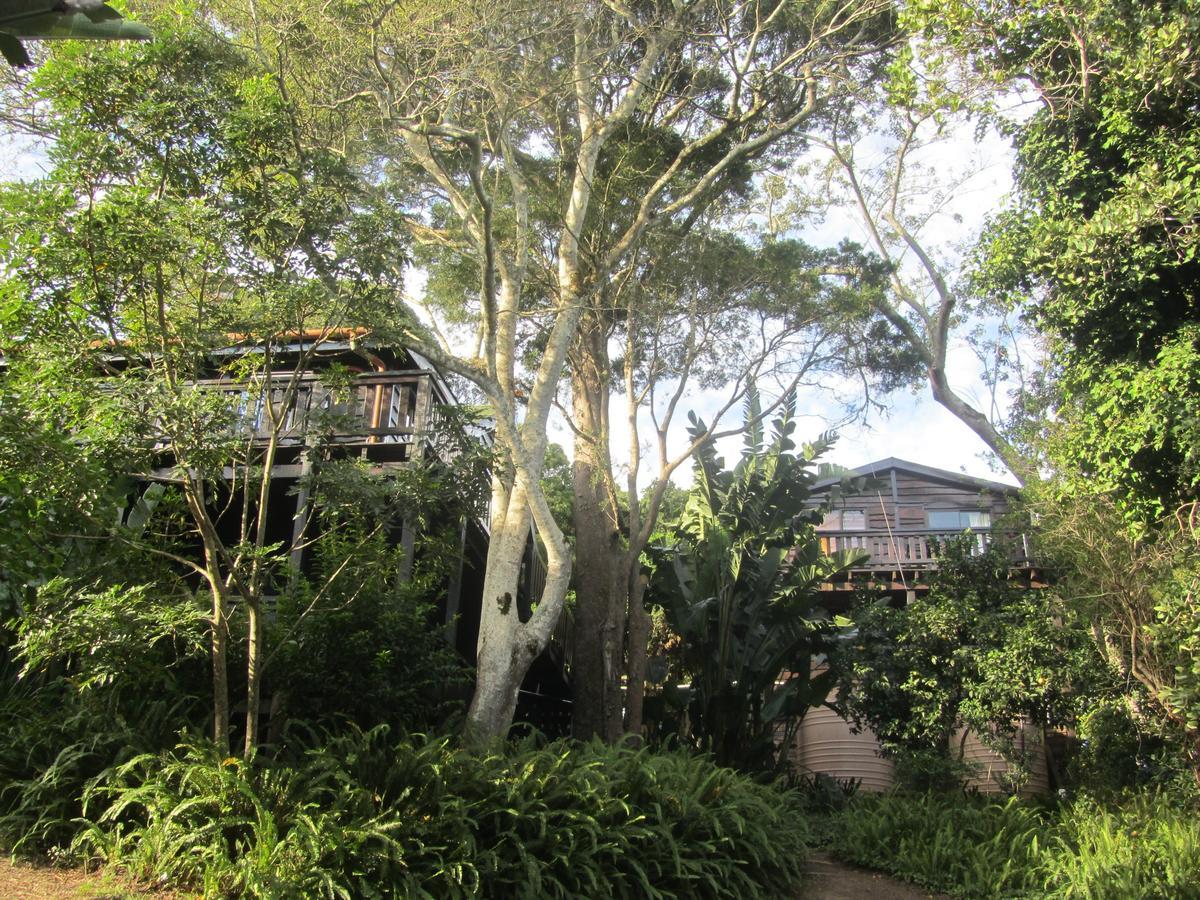 Treehouse Cottage The Crags Ngoại thất bức ảnh